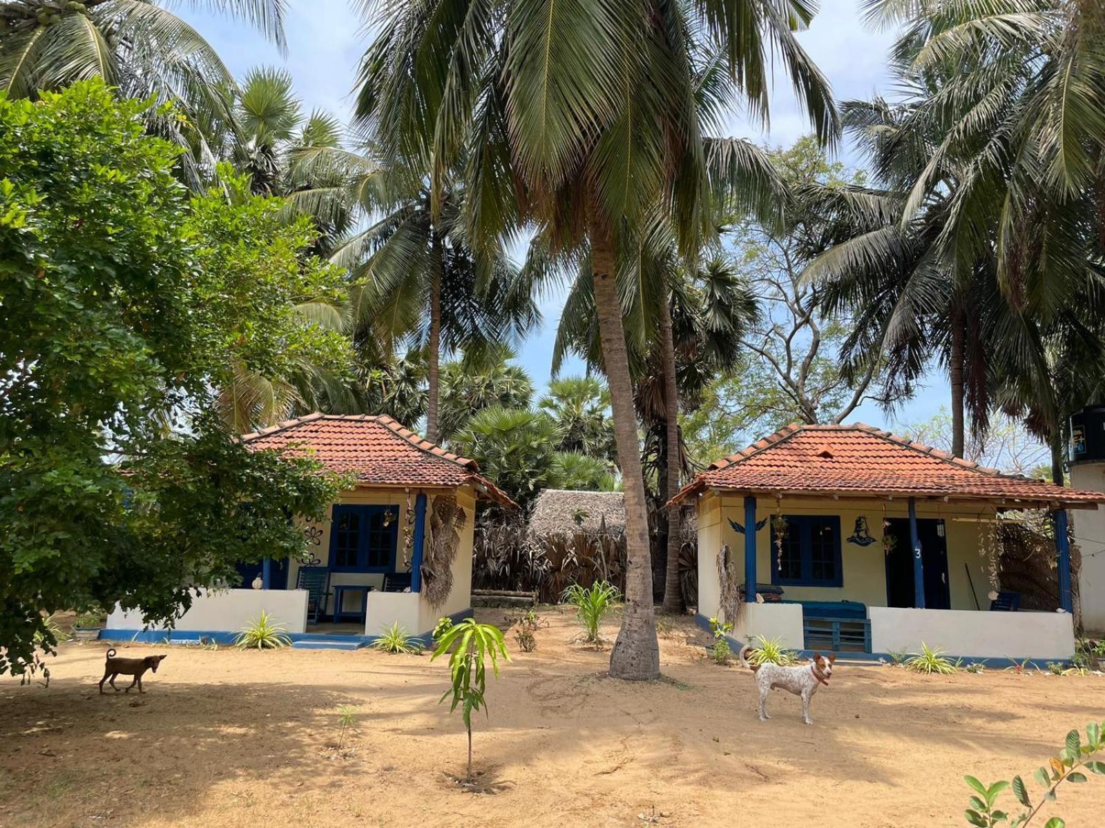 Araliya Villa Kalpitiya Exterior foto